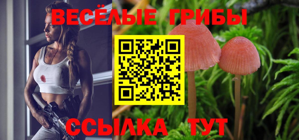 Псилоцибиновые грибы мицелий  Вход с VPN  Кингисепп 