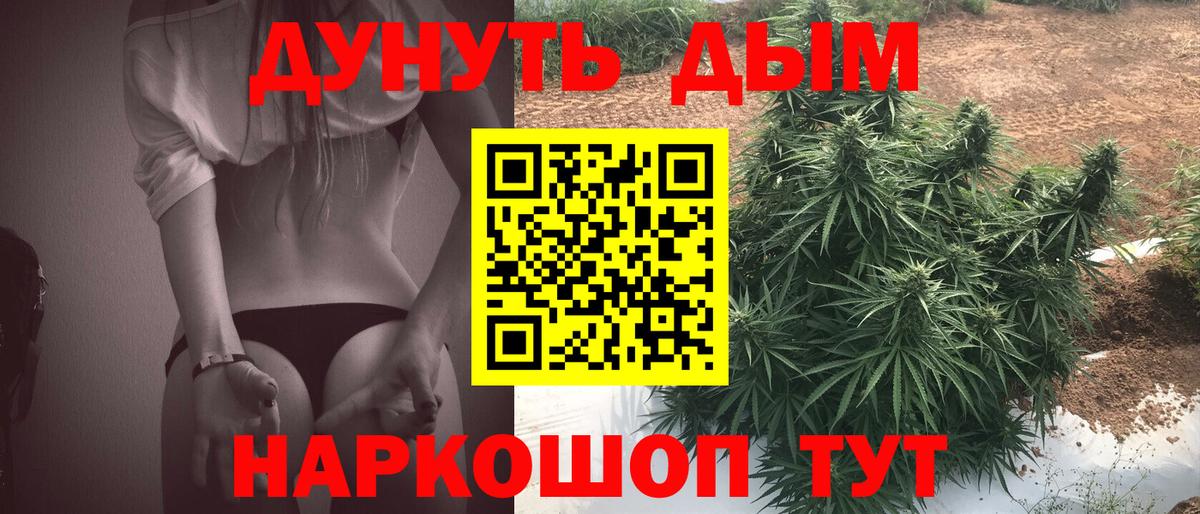 Бошки Шишки AK-47  Вход с VPN  Кингисепп  Шишки марихуана White Widow  Шишки марихуана VHQ  МАРИХУАНА планчик 